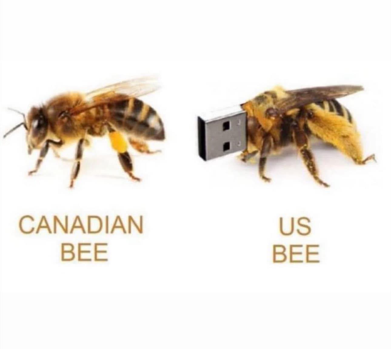 USBee